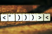 理解流量訪問網(wǎng)站，以數(shù)據(jù)驅(qū)動的分析方法，基于數(shù)據(jù)分析的流量識別與優(yōu)化，以數(shù)據(jù)驅(qū)動的方法解讀流量來源