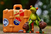 免費游戲禮包，開啟你的冒險之旅