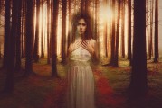 白狐之夢(mèng)，神秘與幻想的交織，白狐之夢(mèng)，神秘與幻想的交織