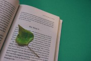 夢(mèng)到丟書(shū)的啟示與反思