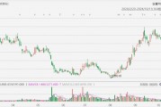 美股異動(dòng)丨極星汽車一度大跌超12%，前9個(gè)月總交付量同比減少22.8%