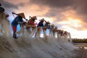 種地免費(fèi)游戲，開啟你的農(nóng)業(yè)夢想之旅，種地大富翁，啟動你的農(nóng)田冒險(xiǎn)之旅，免費(fèi)享受農(nóng)業(yè)的樂趣