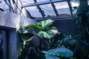 蘋果版的免費生存類游戲，探索、建造與生存，打造屬于你自己的蘋果版生存世界，一款豐富的探索與建造類游戲