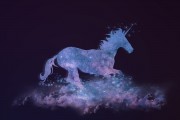 夢中的星光璀璨——與電影明星的奇妙邂逅，夢中的星光璀璨，與電影明星的奇妙邂逅