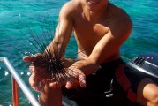 夢到捉魚的奇幻之旅，夢中的捉魚奇幻之旅