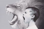 夢(mèng)中的哭泣之貓，一場(chǎng)神秘的夢(mèng)境之旅