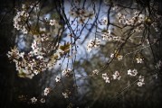 周公解夢之夢到刮大風(fēng)，周公解夢，夢到刮大風(fēng)的含義