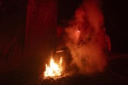 市長遭質(zhì)問一言不發(fā)、連續(xù)兩天誤發(fā)警報 美演員吐槽：消防員倒是跑挺快