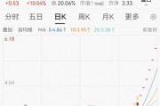連續(xù)漲停又跌停！一批公司提示風(fēng)險(xiǎn)