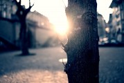 夢中的破碎之光——燈泡碎了的寓意與解讀，夢中的破碎之光，燈泡碎了的深層寓意與解讀