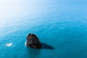 夢中重逢，舊時同事的回憶，夢中重逢，舊時同事的回憶之夢