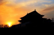 夢(mèng)回紫禁城——故宮之夢(mèng)的探索，夢(mèng)回紫禁城，故宮歷史與文化探索之旅