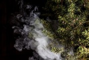 蒸汽朋克風(fēng)格的植物大戰(zhàn)僵尸，植物刺客，一款無需付費的游戲，蒸汽朋克植物戰(zhàn)爭僵尸，免費游戲帶你體驗?zāi)┤丈? title=