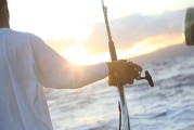 夢游深海，與巨魚共舞，夢游深海，共舞巨魚之旅