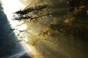 夜色游戲免費(fèi)？這是一個(gè)引人入勝的話題，它涉及了虛擬現(xiàn)實(shí)游戲、電子競(jìng)技、人工智能等多個(gè)領(lǐng)域。夜色游戲自由雖然看起來(lái)非常吸引人，但實(shí)際上，這個(gè)詞語(yǔ)所蘊(yùn)含的含義卻有所不同。，虛實(shí)之間，夜色游戲的雙面性探討