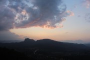 夢(mèng)中梧桐樹(shù)下的詩(shī)意世界