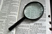 詳解白名單注冊(cè)流程，輕松加入高效通道，白名單注冊(cè)攻略，開啟高效通道的簡易流程揭秘