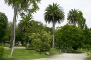 官方網(wǎng)站花架搭建指南，打造視覺(jué)盛宴的綠色空間，打造綠色視覺(jué)盛宴，官方網(wǎng)站花架搭建全攻略，官方網(wǎng)站綠色花架搭建全攻略，打造視覺(jué)盛宴的綠意空間