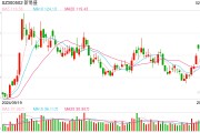 股價(jià)集體閃崩 光模塊三劍客錯(cuò)殺還是重估？