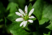 夢(mèng)到親人離世，心靈的觸動(dòng)與解讀，夢(mèng)到親人離世，心靈的觸動(dòng)與解讀