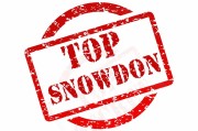 震安科技：公司尚未觸及退市標準