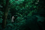 夢境中的動物世界，一場奇幻的夢境之旅