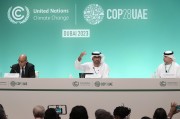 COP29氣候大會(huì)臨近，歐美金融高管參會(huì)熱情降溫