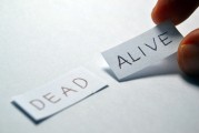 輕松掌握注冊號識別技巧，輕松應對各類查詢需求，注冊號識別攻略，輕松應對查詢難題