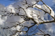 夢(mèng)中大雪紛飛，厚雪之下的世界，夢(mèng)中大雪紛飛，厚雪之下的世界探索