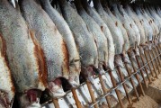 女人夢(mèng)到魚(yú)的神秘寓意，女人夢(mèng)到魚(yú)的神秘寓意