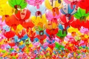 夢境中的老鼠狂歡，夢境中的老鼠狂歡之旅