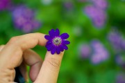 芭比打扮游戲免費下載，讓小女孩過上精致的生活，芭比打扮游戲