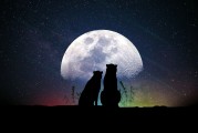 夢(mèng)中的玉米之歌，夢(mèng)中的玉米之歌的遐想與探索
