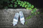 夢中見證友情的盛典——夢到朋友結婚的感悟，夢中見證友情的盛典，夢到朋友婚禮的感悟