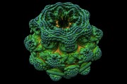 手機(jī)風(fēng)水羅盤下載安裝_免費下載手機(jī)風(fēng)水羅盤