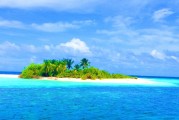 海魚之夢，探索夢境深處的海洋奧秘，海魚之夢，探索夢境深處的海洋奧秘