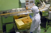唐山市豐潤區(qū)欣陽紙業(yè)加工廠（個(gè)體工商戶）成立 注冊資本100萬人民幣