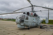 軍事策略中的免費(fèi)游戲戰(zhàn)地，游戲戰(zhàn)爭，自由之戰(zhàn)的軍事策略推薦