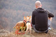 孕婦夢到野雞，是否為胎夢的探索之旅，孕婦夢到野雞，胎夢的探索之旅