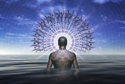 揭秘網(wǎng)站自然流量的秘密源泉，五大策略助你提升SEO效果