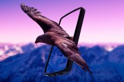 星空下的自由群星，自由與星空，群星下的一場(chǎng)心靈獨(dú)白