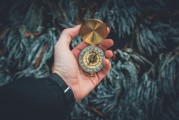 夢中的白發(fā)生長，一次關于時間、衰老與自我認知的探索，夢中的白發(fā)生長，時間、衰老與自我認知的探索