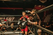 格斗游戲的狂熱與挑戰(zhàn)——探尋免費(fèi)版的力量，探索付費(fèi)格斗游戲，免費(fèi)版本的力量