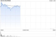 黑芝麻智能早盤高開(kāi)逾6% 公司預(yù)計(jì)2024年度實(shí)現(xiàn)扭虧為盈