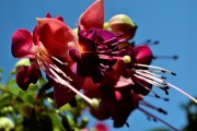 紅塵免費(fèi)游戲，讓夢(mèng)想在指尖綻放，實(shí)現(xiàn)夢(mèng)想，只需指尖輕輕一抹，紅塵的游戲?qū)呦蜉x煌