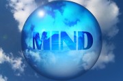 理解并追求網(wǎng)站流量，一個關鍵因素的探索，最大化網(wǎng)站流量，深入探討這一關鍵要素