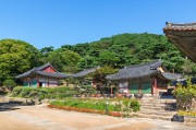 夢(mèng)中的攀爬之旅，夢(mèng)中的攀爬之旅之旅
