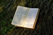 夢到書，一場心靈與知識的奇妙旅程，夢中的書，心靈與知識的奇妙旅程