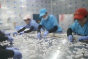 查封！關(guān)停！各地多部門連夜查處3·15曝光問題