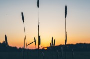 夢(mèng)境中的愛(ài)與激情，夢(mèng)境中的愛(ài)與激情之旅